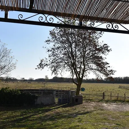 빌라 Mas Typique En Pleine Camargue *